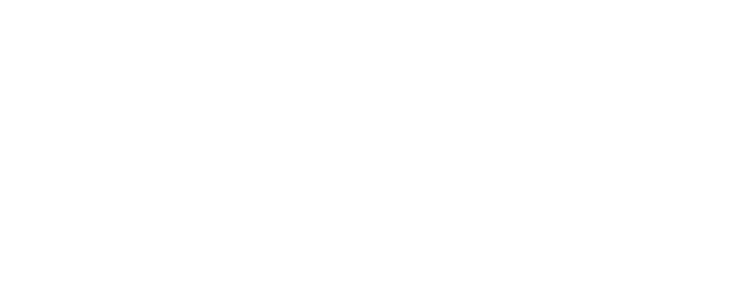 BRAVIO